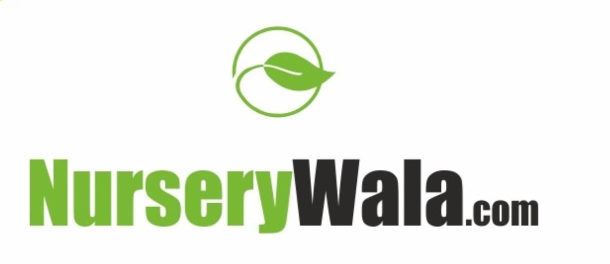 NurseryWala.com logo